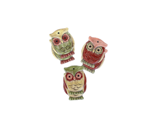 Allen - Color Me Mine Owl Ornaments